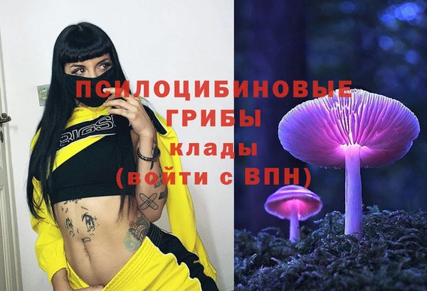 прущий лед Великий Новгород