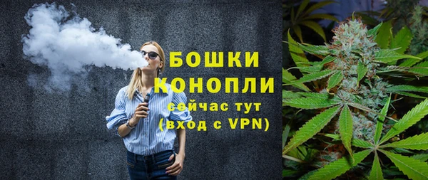 шишки Инта