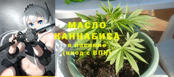 mdpv Инсар