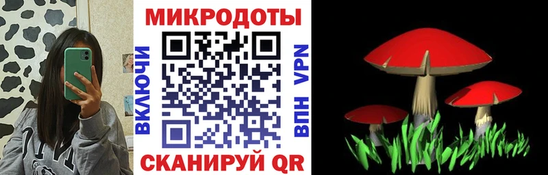 Купить где  Палласовка  Галлюциногенные грибы GOLDEN TEACHER 